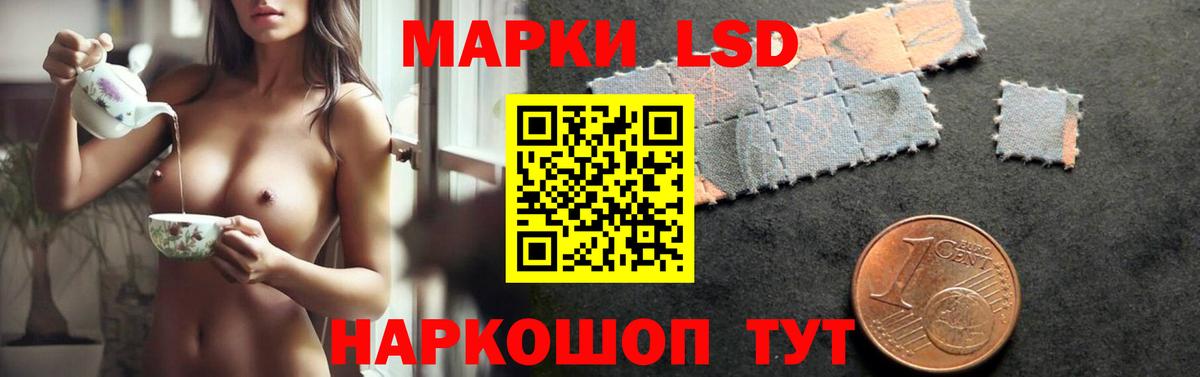 Ногинск  ЛСД экстази кислота  LSD-25 экстази  Лсд 25 экстази кислота  Вход с VPN 